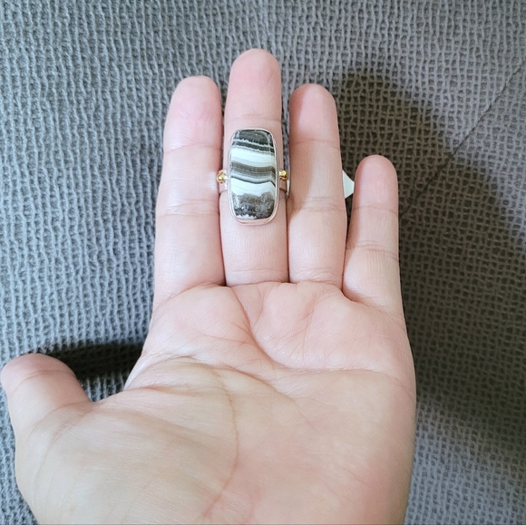 ✨️HP✨️ Shivam Zebra🦓 Jasper Statement Ring💍 - NWT - Picture 9 of 16